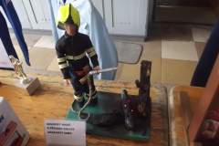 DSCF9247