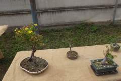 DSCF9263