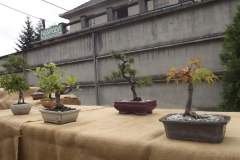 DSCF9266