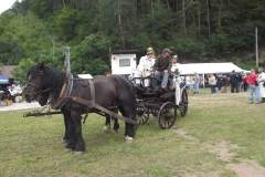 DSCF9376