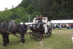 DSCF9377