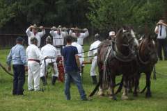 DSCF5798
