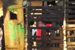 DSCF4749