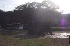 DSCF4770