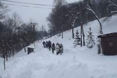 DSCF7385