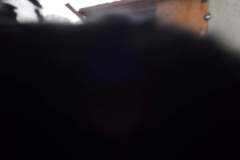 DSCF7504