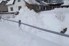 DSCF7515