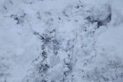 DSCF7624