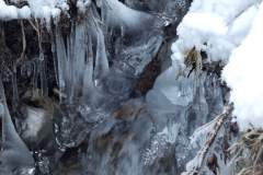 DSCF1846