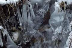 DSCF1847