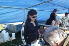 DSCF8224