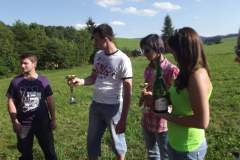DSCF8860