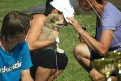 DSCF3133