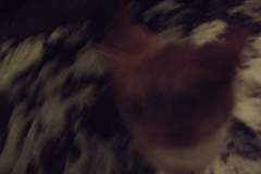 DSCF1045