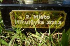DSCF2896