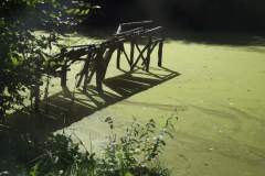 Taktické prověřovací cvičení