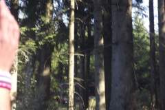DSCF5017