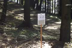 DSCF5023
