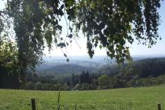 DSCF5024
