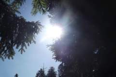 DSCF5047