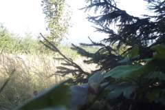 DSCF5049