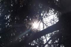 DSCF5055