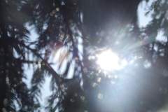 DSCF5062