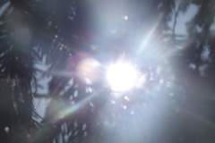 DSCF5063
