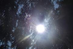 DSCF5065