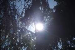 DSCF5066