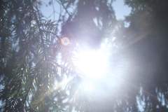 DSCF5067