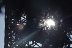 DSCF5071