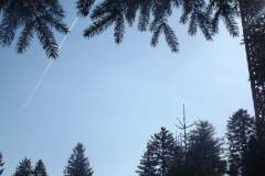 DSCF5072
