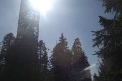 DSCF5093