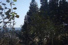 DSCF5100