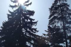 DSCF5130