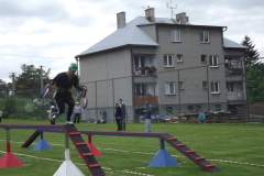 DSCF8412