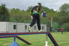 DSCF8420